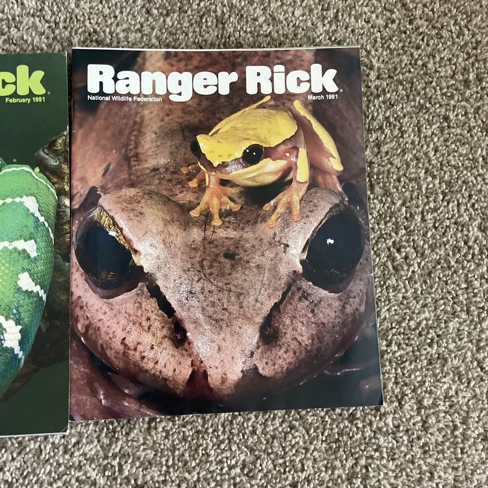 Ranger Rick's Nature Magazine 1991 National Wildlife Kids Vtg Lot Of 12 Complete